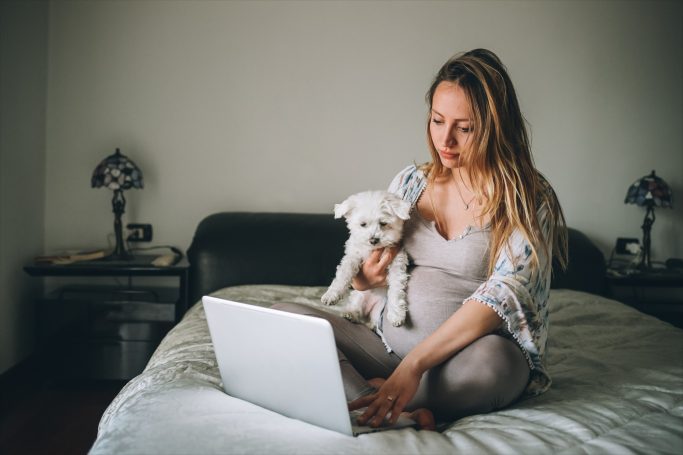 Online - Welpentraining Eine Frau sitzt auf einem Bett, hält einen Hund und arbeitet am Laptop.